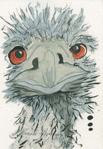 Click here to view Baby Emu by Pamela Morgan
