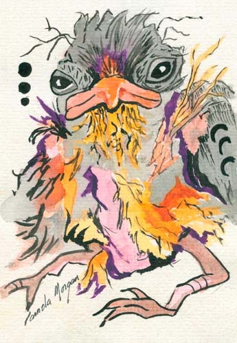Click here to view Baby Blackbird 3 by Pamela Morgan