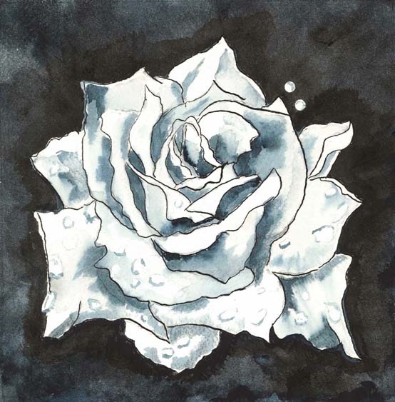 Click here to view Jennifer's  Rose by Pamela Morgan