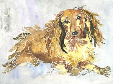 Mr LH Dachshund by Pamela Morgan