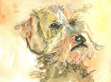 Mr WH Dachshund by Pamela Morgan